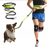 Hands Free Reflective Waist Belt