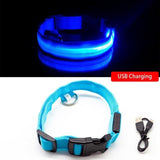 Glowing Night Time Pet Collar