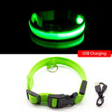 Glowing Night Time Pet Collar