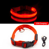 Glowing Night Time Pet Collar