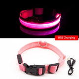 Glowing Night Time Pet Collar