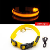Glowing Night Time Pet Collar
