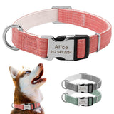 Pastel Personalized Dog Collar