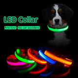 Glowing Night Time Pet Collar