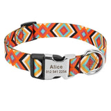 Patterned Personalized Dog Collar