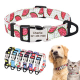 Personalized Nameplate Pet Collar