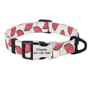 Personalized Nameplate Pet Collar